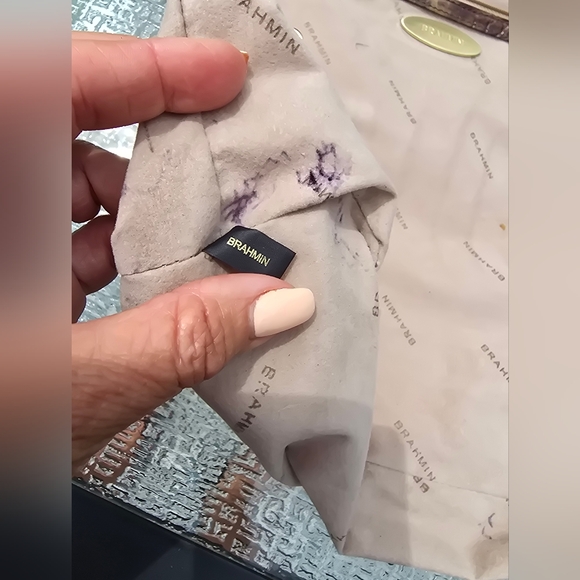 Brahmin Fall Tortoise Medium Asher, VGUC - Picture 15 of 16